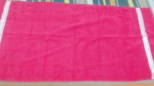 Beautiful Gajri Colour Saree