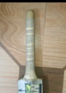 cricket bat