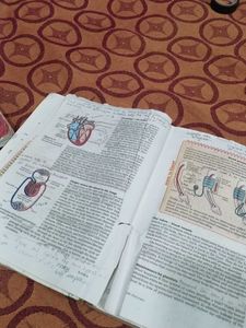 Science Class 10 Book