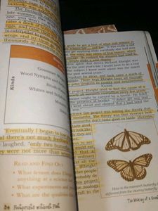 English ncert Textbooks Combo Class 10