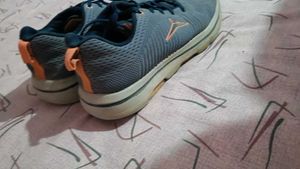 Shoes Men