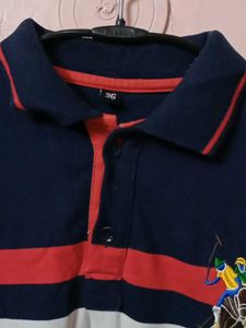 Striped Polo Shirt (No Brand)