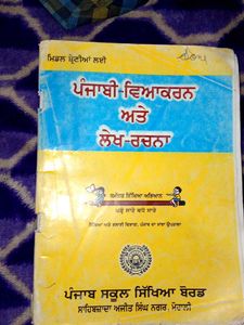 Punjabi Grammar and Essay Book