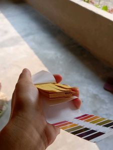 Litmus Test Paper