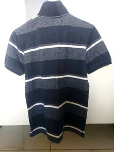 Striped Polo Shirt