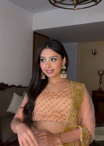 Embellished lehenga