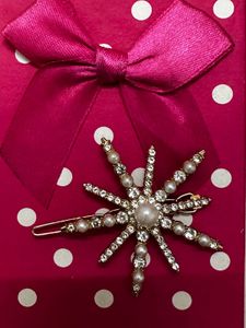 Beautiful Earrings And Clips