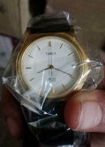 Old Vintage Timex 2013 Model