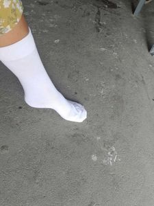 Butterfly Socks