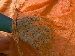 Orange Ethinic Gown