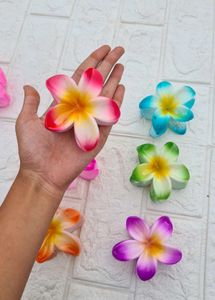 Daizy Hair Clawclip-random Colour