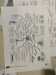 OSWAAL CBSE MIND MAPS