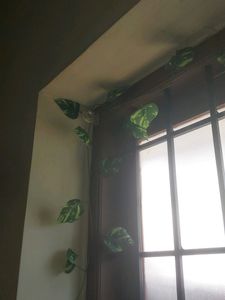 Artificial Money Plant