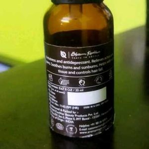 Lavender Essential Oil