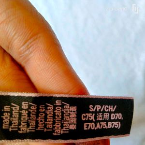 Victoria Secret Net Bra