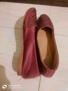 Elegant Maroon Bellies