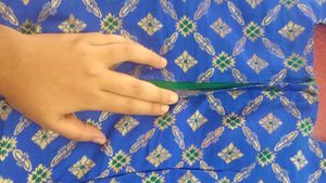 Gorgeous Pink &amp; Blue Lehenga