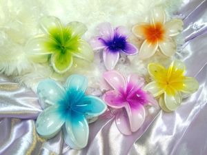 Hair Accessories Which Are New And Not Used.🥰