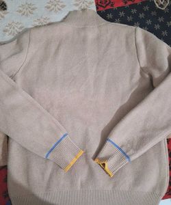 Stylish Turtleneck Sweater