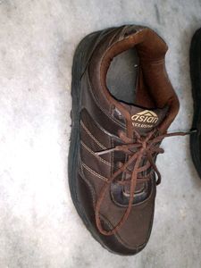 Asian Exclusive Brown Casual Shoes