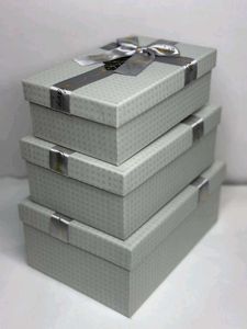 Elegant Silver Gift Box Set ✨🎁🌿
