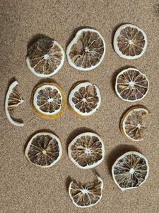 Dried Orange For DIY ( Candle Making)