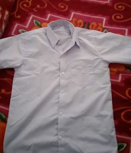 Navy blue Casual Shirt