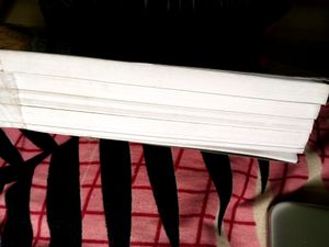 Truimph IAS sociology notes