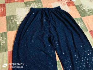 Sequin Work Chickenkari Plazzo