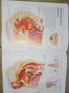 Visual Dictionary