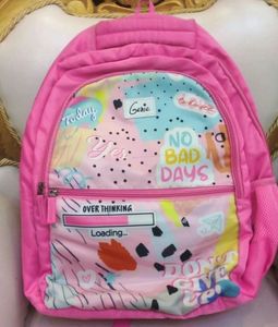 📢Price Drop 📢Rose Pink School Backpack