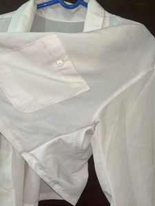 Crop Shirt