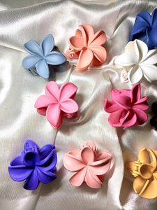 PACK OF 12 SMALL CLIPS