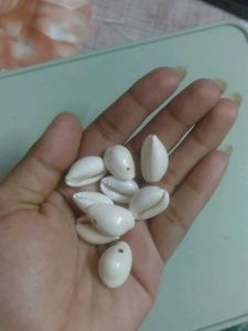 Cowrie Shell Beads