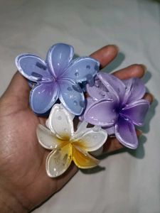 Claw Clip