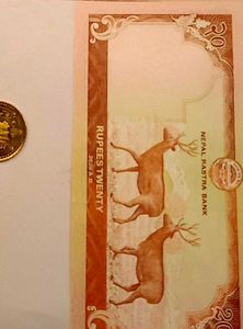 Nepal UNC Currency And Coins Set
