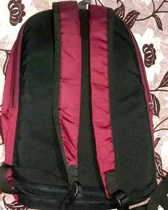 Lavie&#39;s New Burgundy Bag