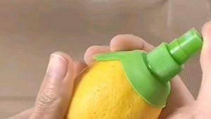 Citrus Fruit Juice Sprayer (Set of 2)