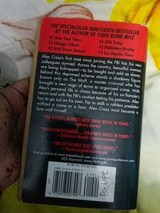 The Big Bad Wolf by James Patterson