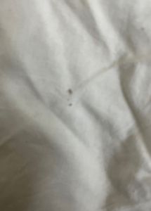 plain white patiala salwar