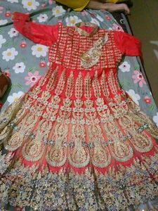 Gorgeous Embroidered Lehenga Choli