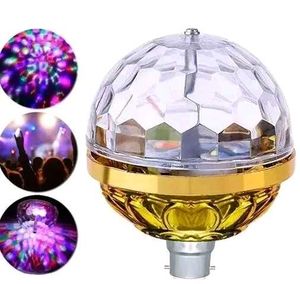 2 Pis Bulb