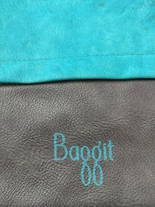 Baggit Bag