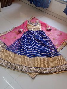 Elegant Lehenga Choli Set