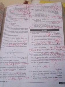 PW CBSE 10 Years Solved Paper Class10