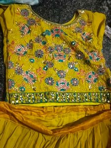 Embroidered Lehenga Choli