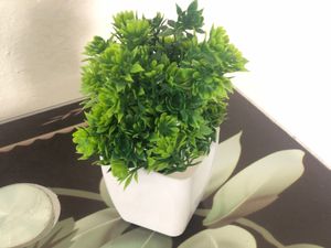 Green Tree Pot For Home Decoration ❤️