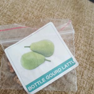 Different Gourds Seeds