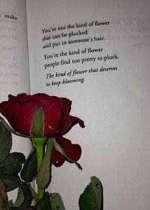 I Don&#39;t Love You Anymore