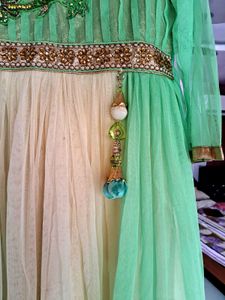 Elegant Ethnic Gown